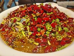 -尽膳·鱼鲜川菜(宽窄巷子店)