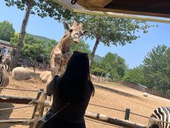 -大连森林动物园