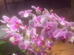 -小户人家(循礼门南国中心店)