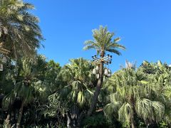 -厦门日月谷温泉渡假村