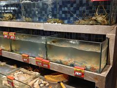 -抱德·潮汕味(敦和店原惠城鱼仔)