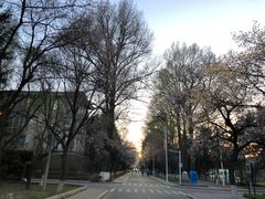 -吉林大学(南岭校区)