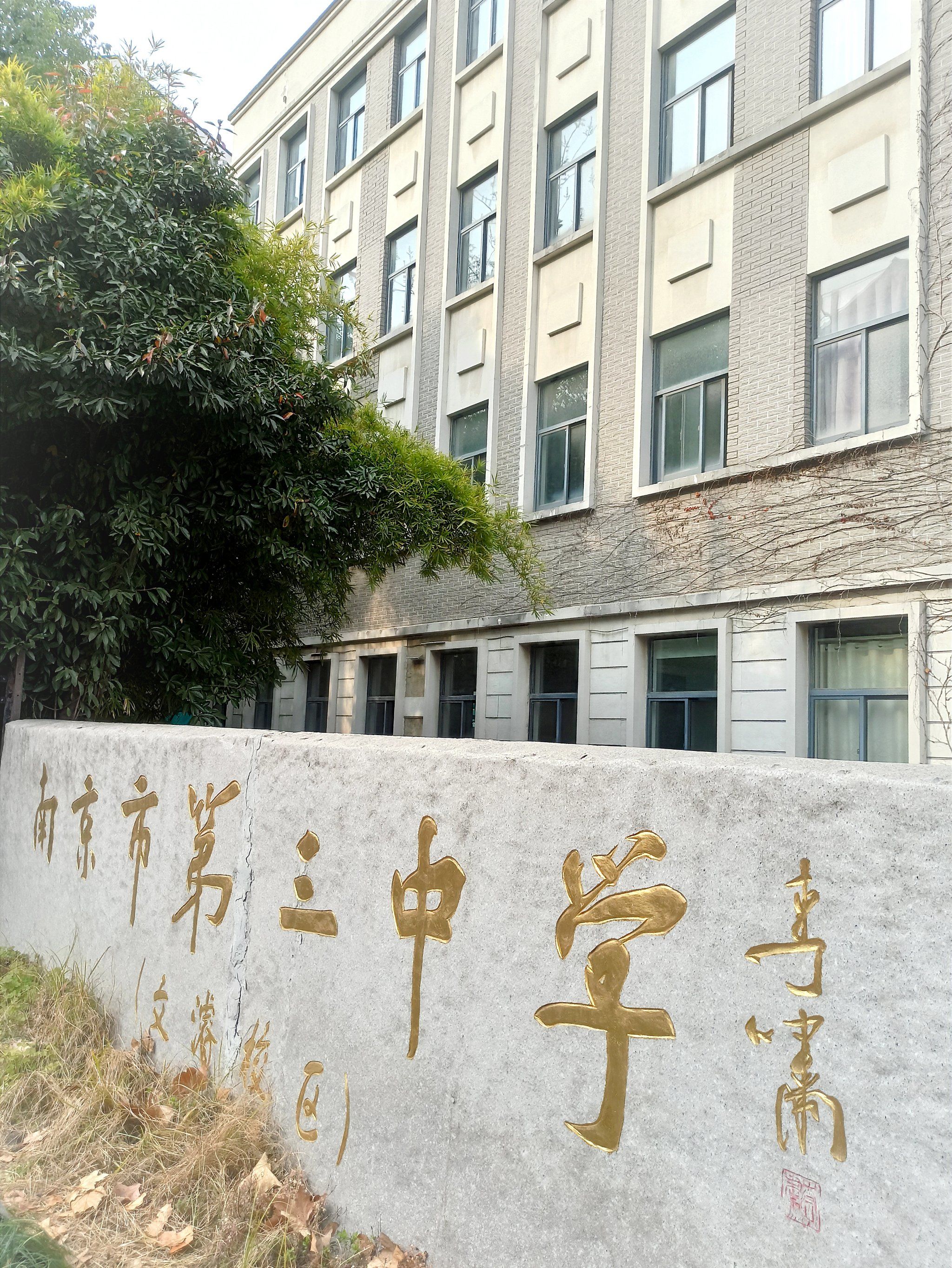中学内深藏美建筑