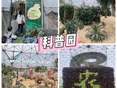 -盈香心动乐园