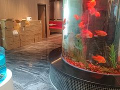 -喜盈门.鱼鲜家味(金马店)