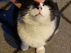 -同济大学(嘉定校区)