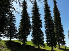 -新疆那拉提国家旅游度假区