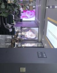 -藤野造型烫染