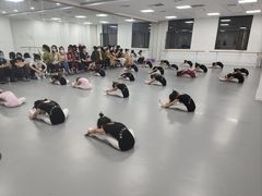 -西安小天鹅艺术团(金花路校区)