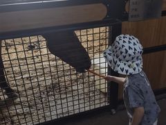 -北京群众马术培训基地