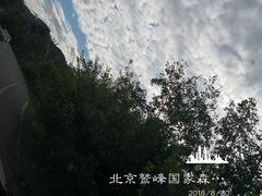 -北京鹫峰国家森林公园