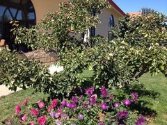 iphone_upload_pic-意大利农场度假村