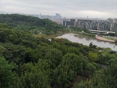 -飞凤山奥体公园
