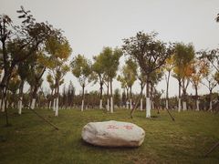 -天津东丽湖风景区