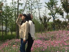 -上海长兴岛郊野公园