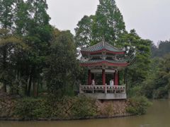 -九鲤湖风景区