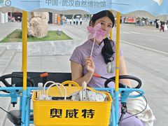 -武汉园博园(武汉自然博物馆)