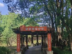 -东湖落雁景区