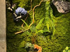 -HITEA嘆萃(北江新区店)