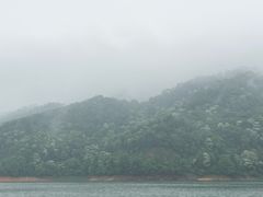-酒仙湖景区