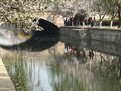 -元大都城垣遗址公园