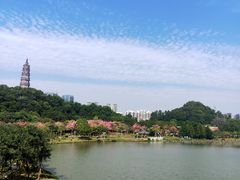 -顺峰山公园