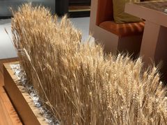 -西村日本料理(香格里拉饭店)