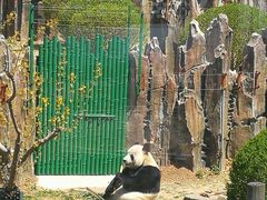 -大连森林动物园