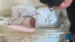 -上海市嘉定区妇幼保健院