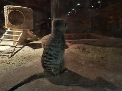 -酷嗒动物文化乐园(cutezoo西溪乐天城店)