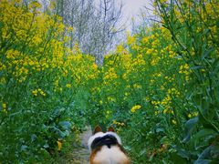 -国际非物质文化遗产博览园