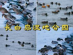 -吉林市博物馆