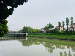 -嘉定紫藤园