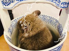 -龙猫仔乐园(惠福东路店)