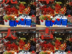 -溪岸路花鸟市场