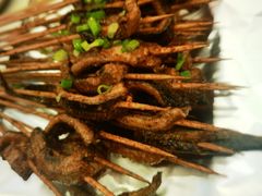 -晓靖轩烧烤(沙河风情店)