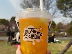 -顾村公园