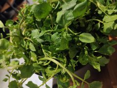 西洋菜-东椰·海南椰子鸡火锅(朝阳门店)