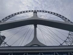 -海河游船-永乐码头(大悲院)