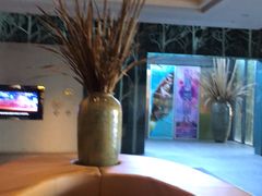 -春晖园度假酒店温泉