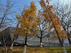 -武汉大学图书馆·文理学部总馆