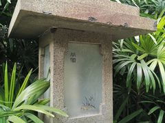 -广州兰圃