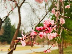 -元大都城垣遗址公园