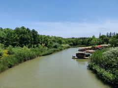 -上海长兴岛郊野公园