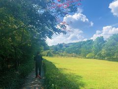 -白马涧龙池景区