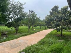-乌村