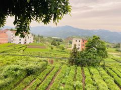 -乌石村