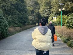 -蜀冈西峰生态公园