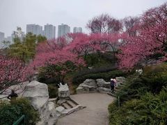 -重庆彩云湖湿地公园