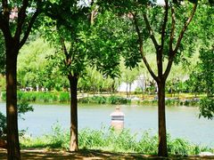 -马家湾湿地公园